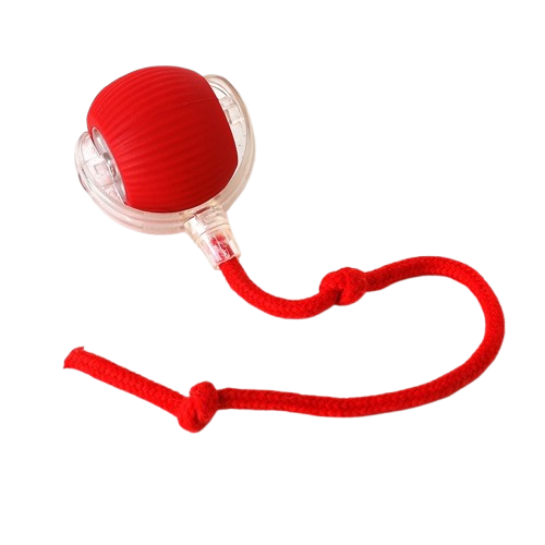 Interactive Cat Toy Ball Super Drive Cat Rolling Ball